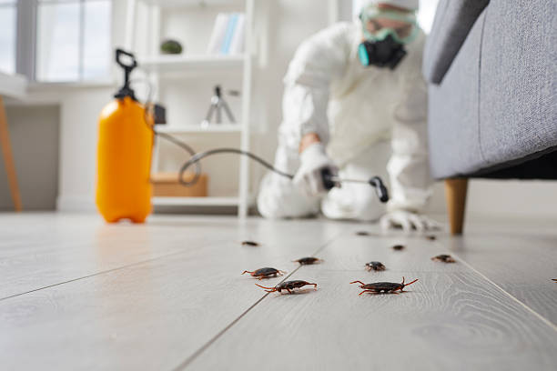 Commercial Kitchen Cockroach Control in Glenn Dale